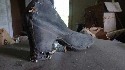 Photo from Schenk Farm