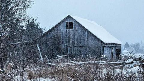 House of Cannabis - d-9682 wellington rd 52-5.jpg