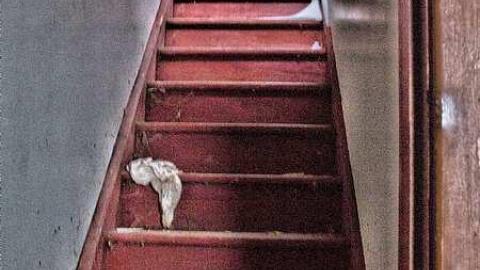 House of Cannabis - z-9682 wellington rd 52-20.jpg