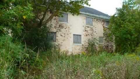 Reesor's Pieces - School-Section-2116.jpg