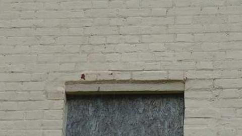 Photo from Reesor's Pieces