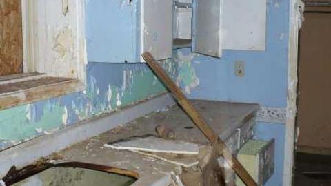 Reesor's Pieces - School-Section-2121.jpg