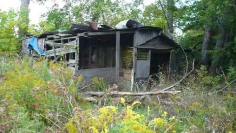 Reesor's Pieces - School-Section-2124.jpg