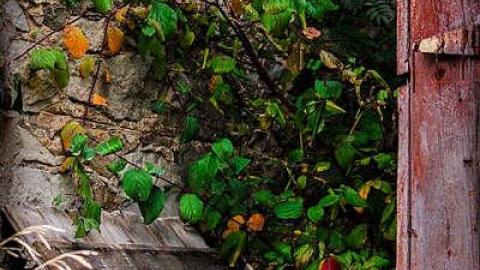 Victim of Arson - Victim Of Arson-50.jpg