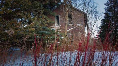 Collapsing In The Moonlight - Insulbrick-House2.jpg