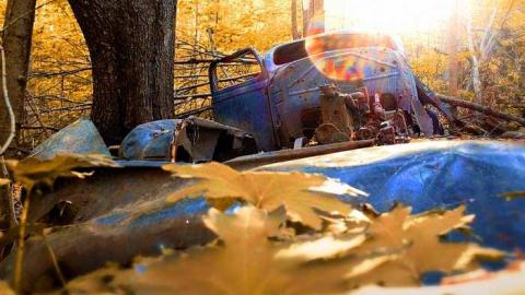 Into the Woods - Hockley-Valleys-Abandoned-Car2.jpg