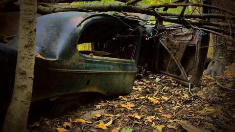 Into the Woods - Hockley-Valleys-Abandoned-Car14.jpg
