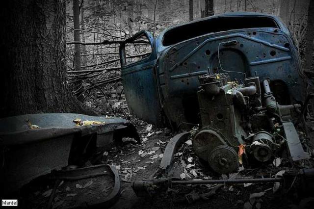 Hockley Valley's Abandoned Car photo 5