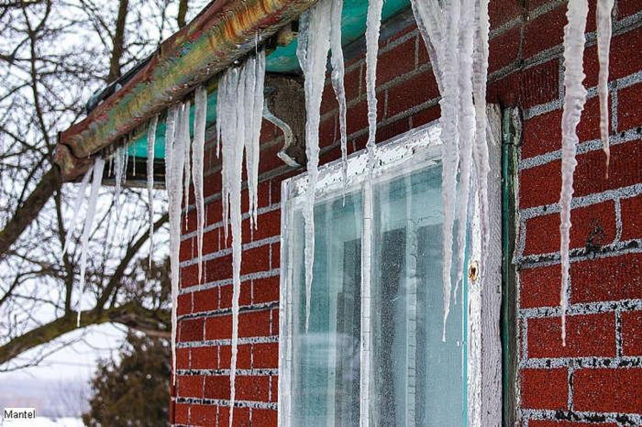 Feb 2016 - u-Buena Vista-6.jpg