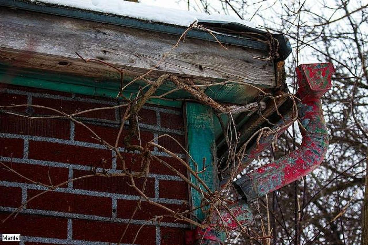 Feb 2016 - q-Buena Vista-11.jpg