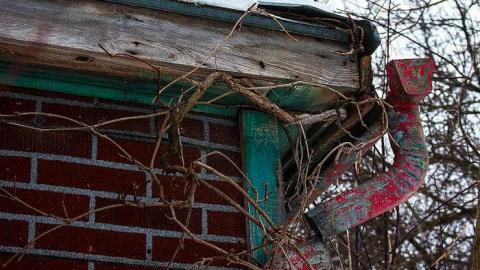 Feb 2016 - q-Buena Vista-11.jpg