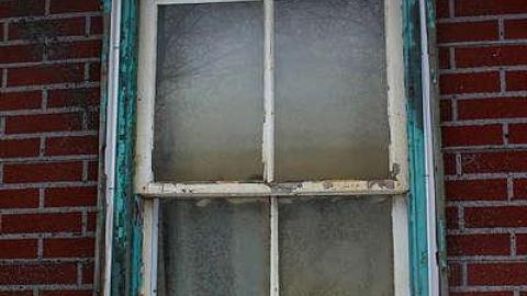 Feb 2016 - x-Buena Vista-13.jpg