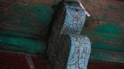 Feb 2016 - t-Buena Vista-15.jpg