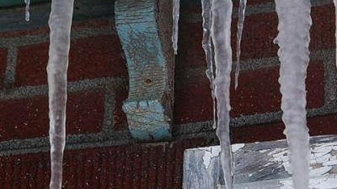 Feb 2016 - t-Buena Vista-17.jpg