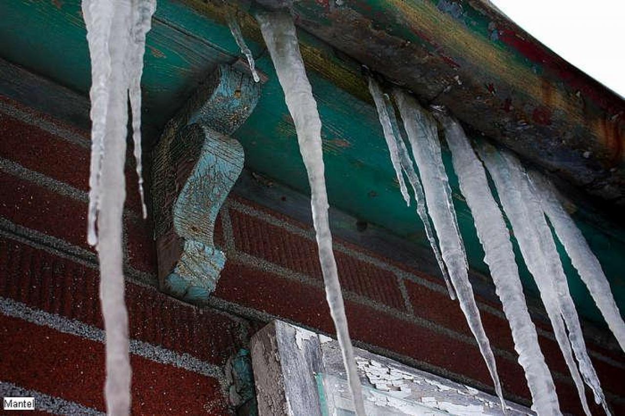 Feb 2016 - a-Buena Vista-19.jpg