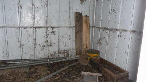 Any one for a swim - Dirty-Pool-Party3.jpg