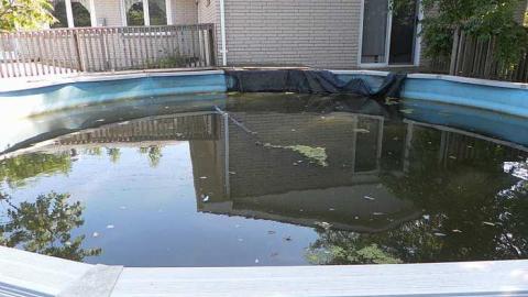 Any one for a swim - Dirty-Pool-Party4.jpg