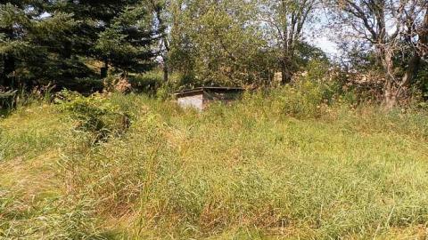 Any one for a swim - Dirty-Pool-Party5.jpg