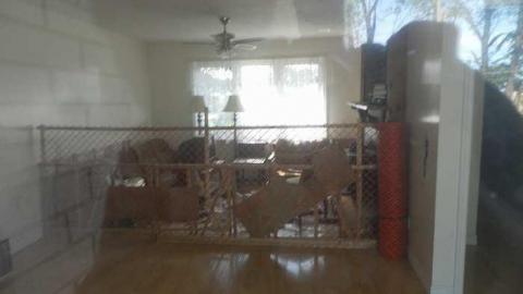 Any one for a swim - Dirty-Pool-Party9.jpg