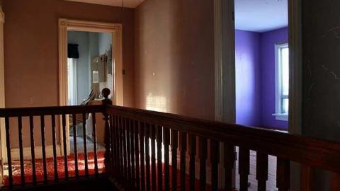 Gelert - IMG_2160.jpg