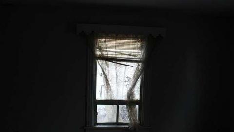 Gelert - IMG_2162.jpg