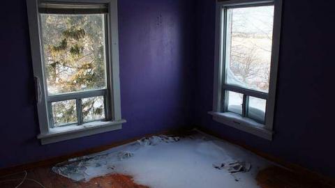 Gelert - IMG_2166.jpg