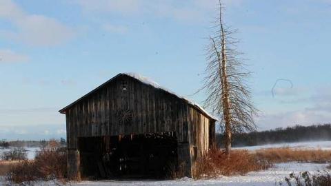 Gelert - IMG_2169.jpg