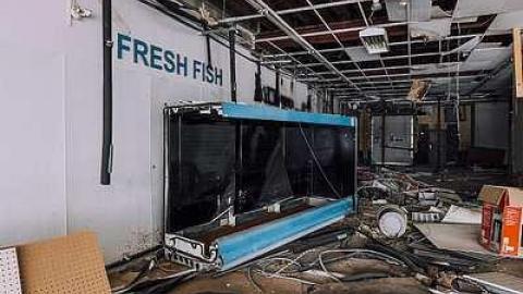 Photo from Half Gone