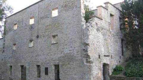 Gallery - Goldie-Mill3.jpg