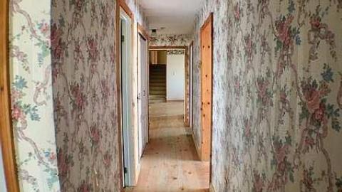 Photo from Let the Light Shine In