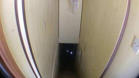 Mold - Moldy-407-Takeover63.jpg