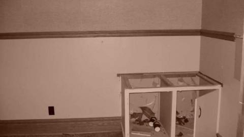 Gallery 5 - CFB-Edgar135.jpg