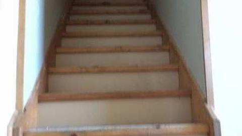 Mold - Moldy-407-Takeover65.jpg