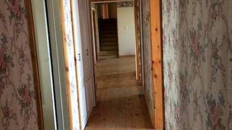 Mold - Moldy-407-Takeover69.jpg