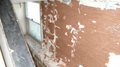 Gallery 6 - CFB-Edgar94.jpg