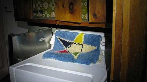 Foxy Lady - O6-1-A.K.A.-The-Fox-Run1.jpg