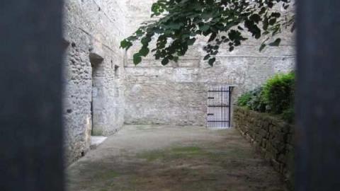 Gallery - Goldie-Mill5.jpg