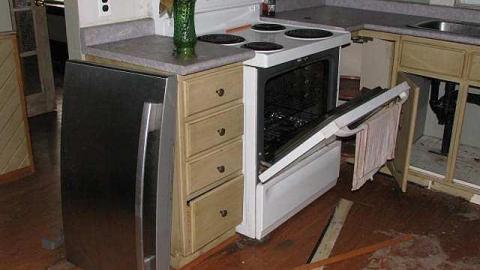 Foxy Lady - O6-1-A.K.A.-The-Fox-Run5.jpg