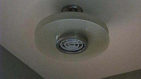 Foxy Lady - O6-1-A.K.A.-The-Fox-Run7.jpg