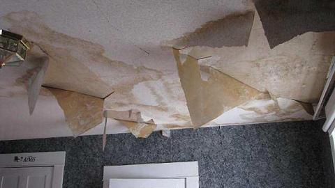 O6 #1 A.K.A. The Fox Run photo 2