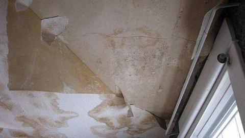 Foxy Lady - O6-1-A.K.A.-The-Fox-Run15.jpg