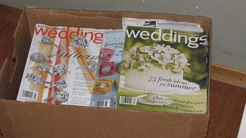 Foxy Lady - O6-1-A.K.A.-The-Fox-Run23.jpg