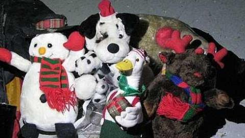 Foxy Lady - O6-1-A.K.A.-The-Fox-Run26.jpg