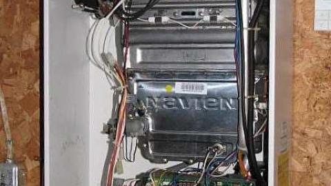 Foxy Lady - O6-1-A.K.A.-The-Fox-Run28.jpg