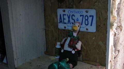 Foxy Lady - O6-1-A.K.A.-The-Fox-Run29.jpg