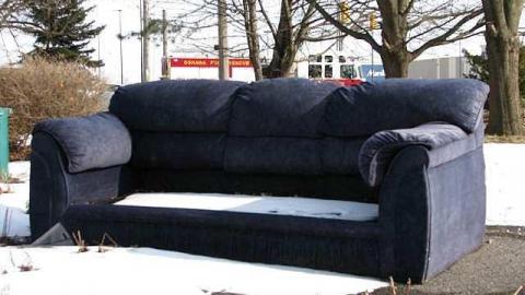 Foxy Lady - O6-1-A.K.A.-The-Fox-Run32.jpg