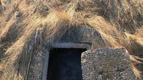 Photo from Welcome to Decay