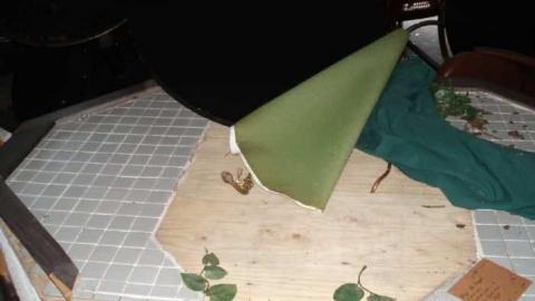 Gallery 3 - Scandia-Inn-Temagami53.jpg