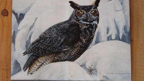 Gone to the Birds - O6-4-A.K.A.-Flown-The-Coop4.jpg