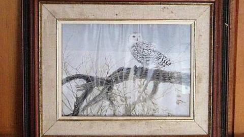 Gone to the Birds - O6-4-A.K.A.-Flown-The-Coop5.jpg